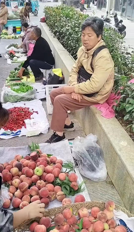 微信图片_2025-08-01_081537_450_副本.jpg