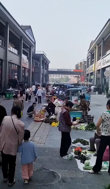 微信图片_2025-08-01_081524_192_副本.jpg