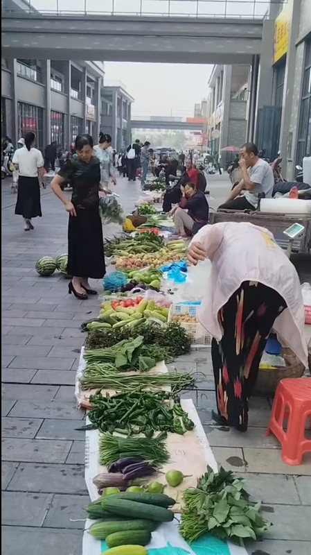 微信图片_2025-08-01_081542_817_副本.jpg